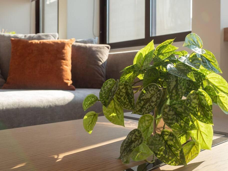 Athinais Luxury Studio 2 Athen Eksteriør bilde